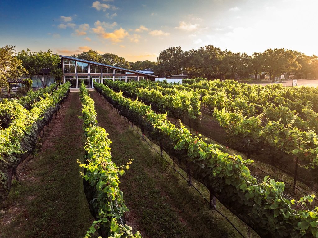 William Chris Vineyards